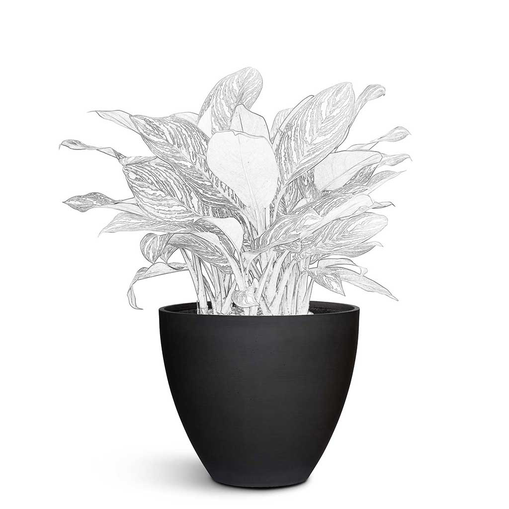Jesslyn Natural Planter - Medium Plant Display