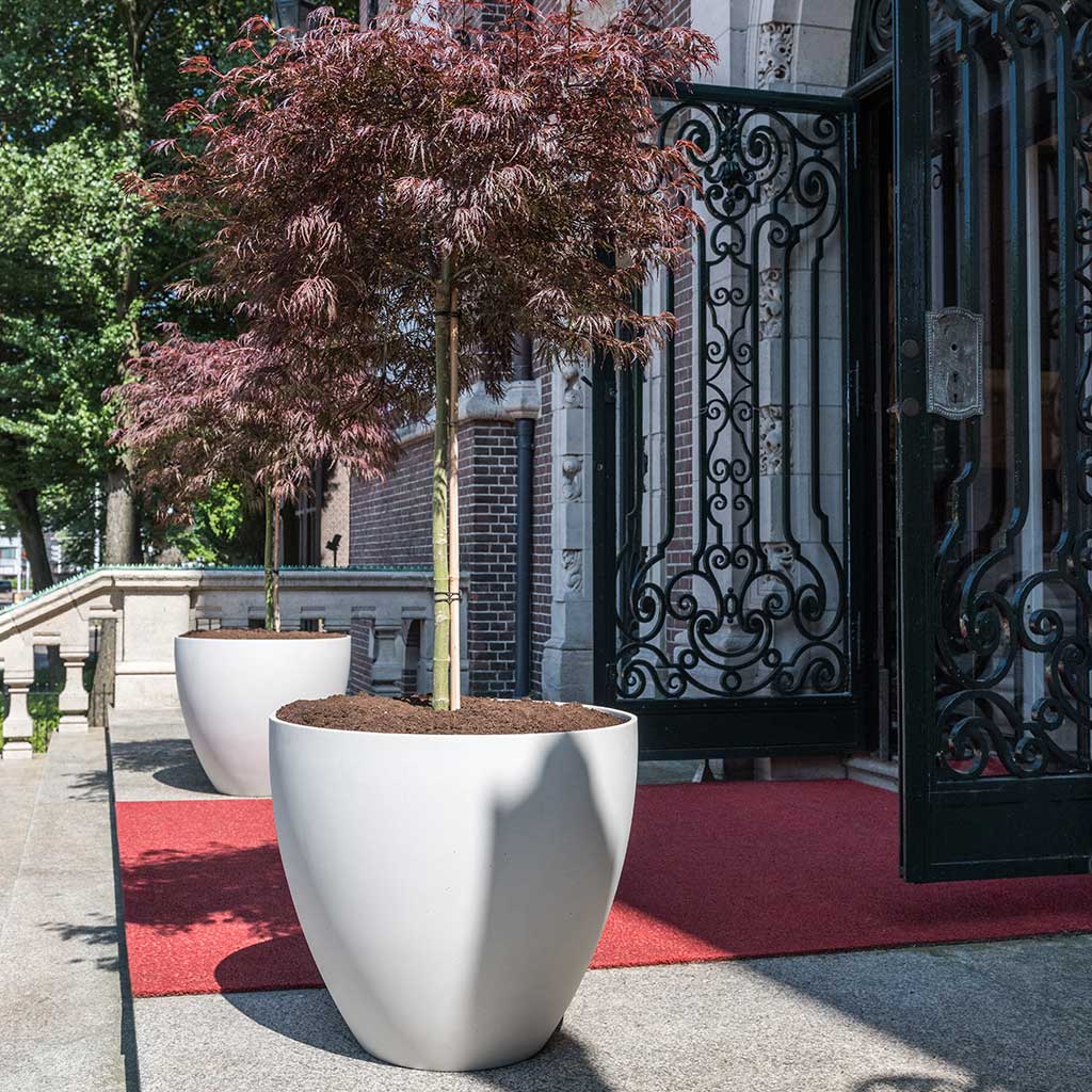 Jesslyn Refined Planter Natural White Entrance Planter