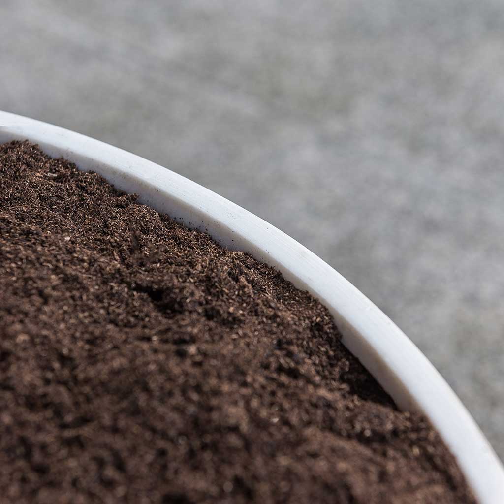 Jesslyn Refined Planter Natural White Rim