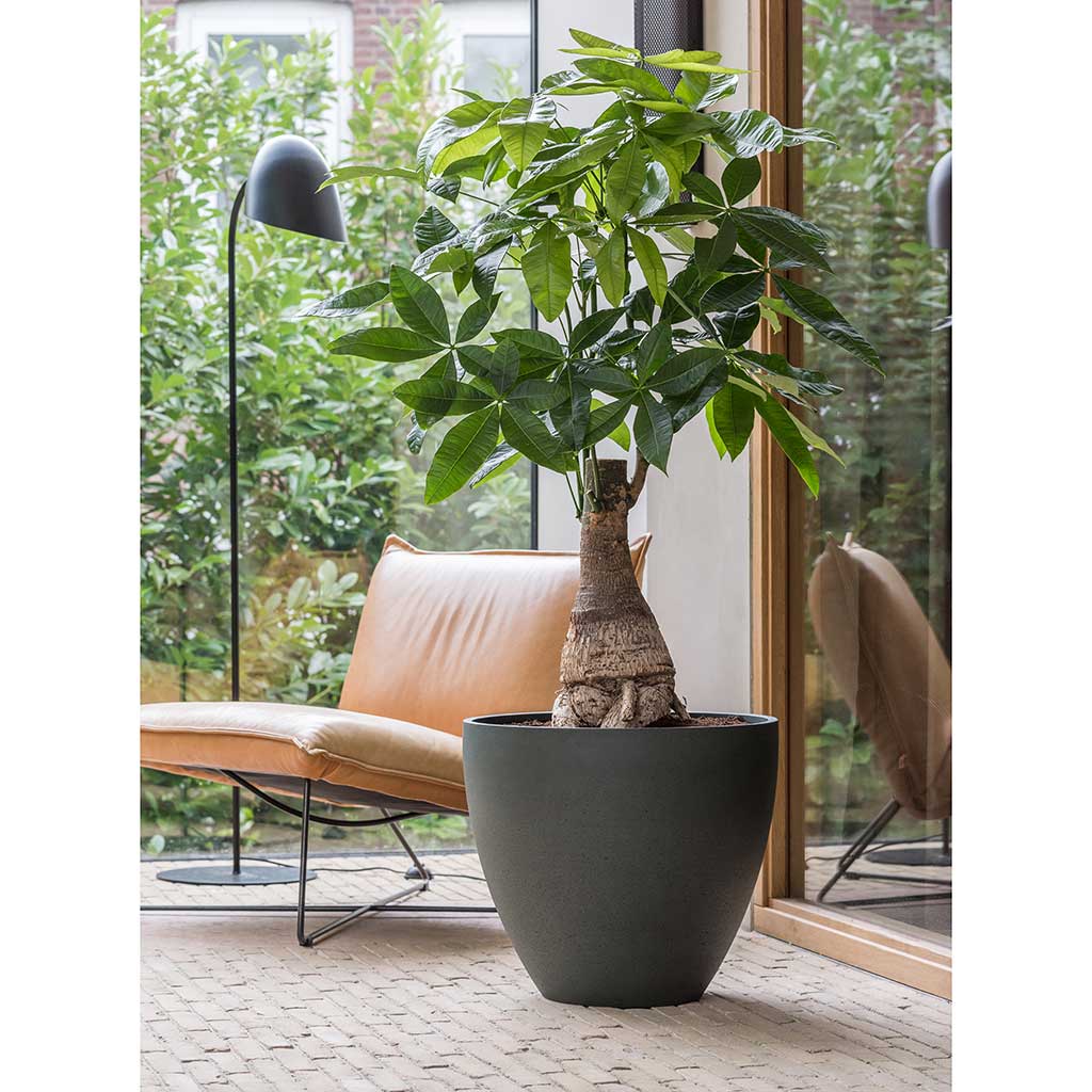 Jesslyn Refined Planter Pine Green Office Planters