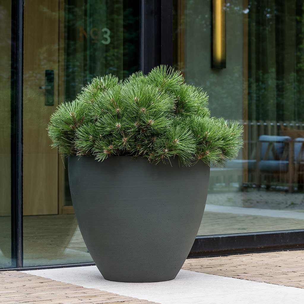 Jesslyn Refined Planter Pine Green Outdoor Planter