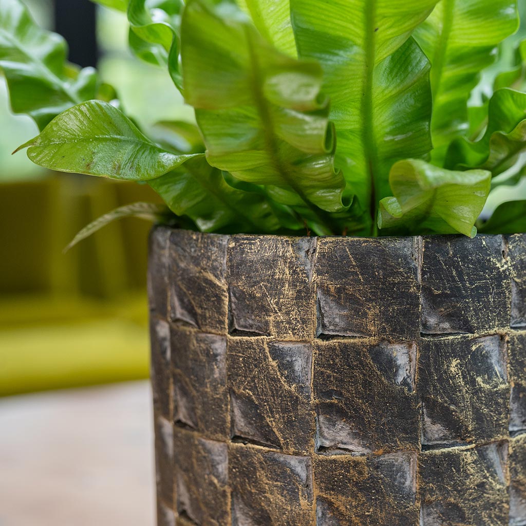 Jim Plant Pot - Earth & Fern Houseplants