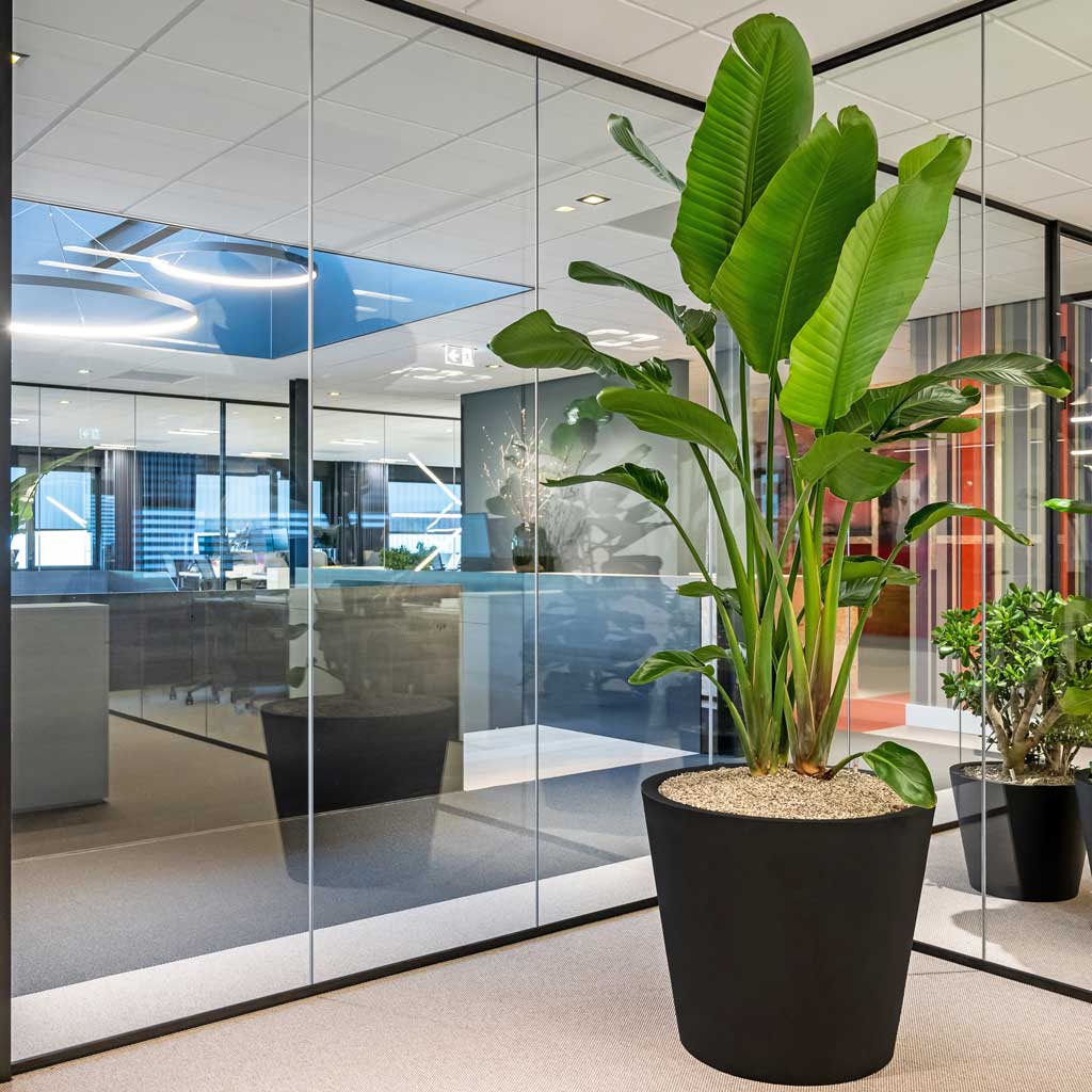 Jumbo Bucket Natural Planter - Black In Contemporary Office