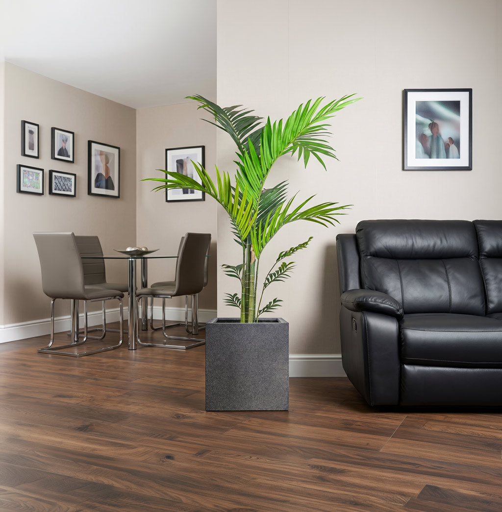 Artificial Kentia Palm in Living room