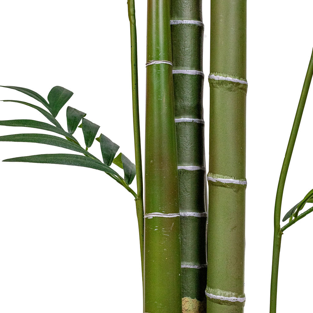 Kentia Palm Artificial Close Up Of Stems