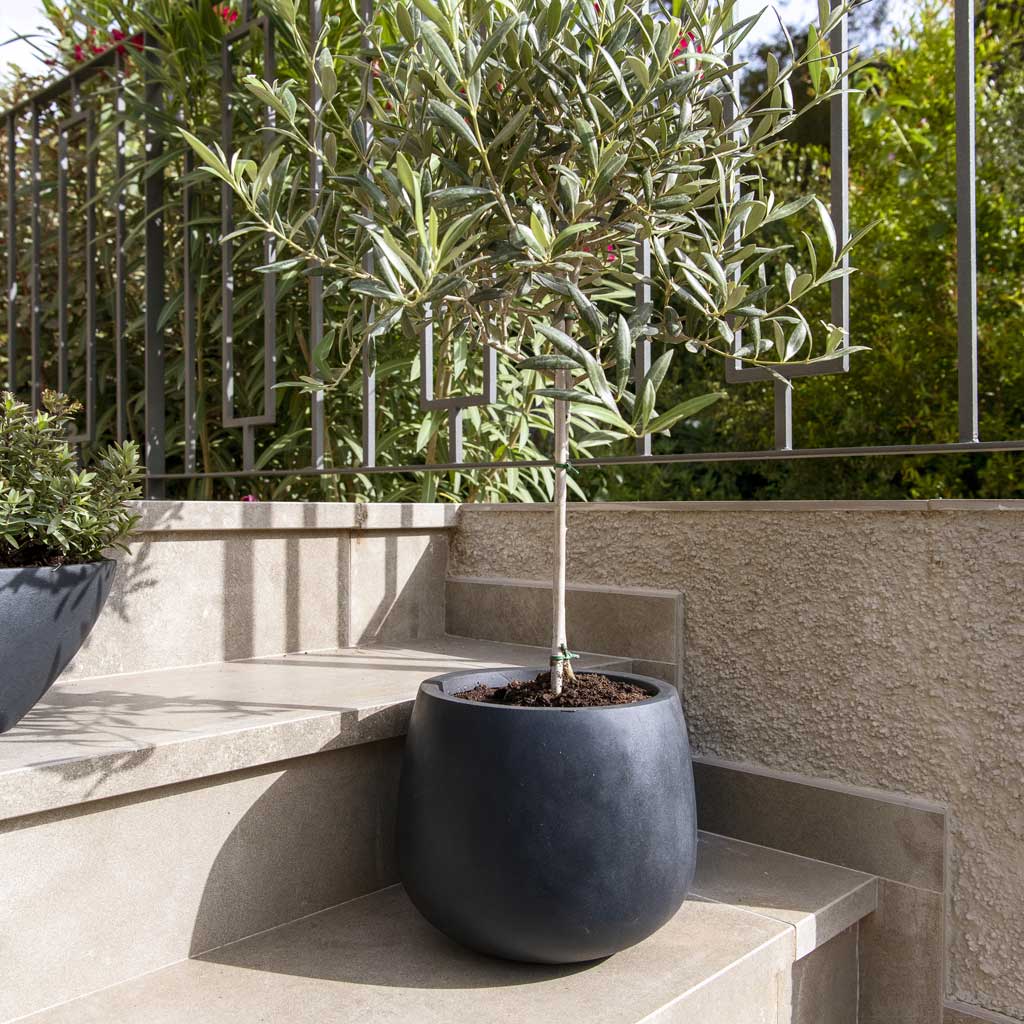 Kevan Natural Planter - Black On Steps