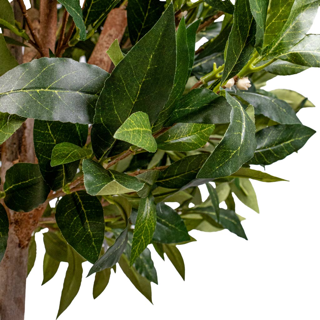 Laurel Ball Artificial DETAILS Close up Of Leaves