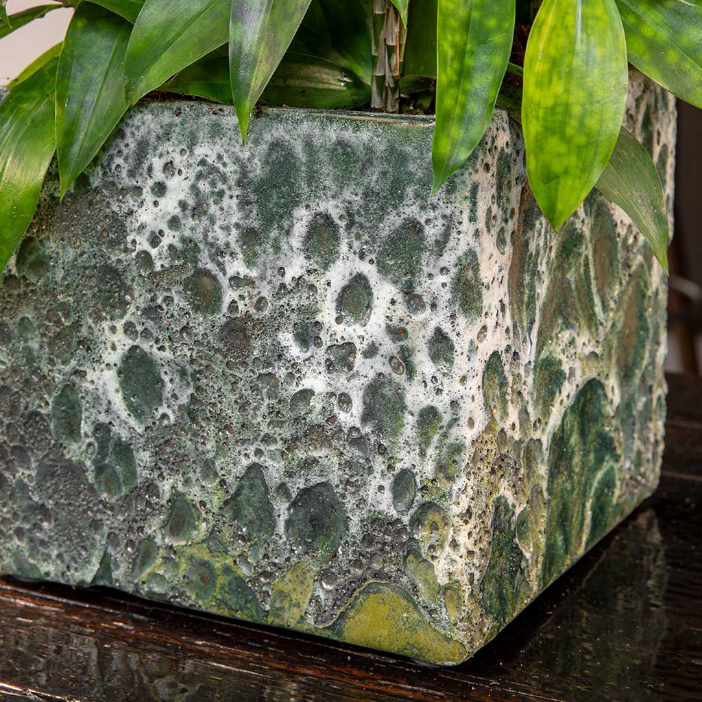 Lava Cube Planter Jade Textures