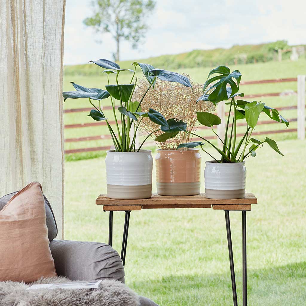 Puro Ripple Plant Pot - Peach & White