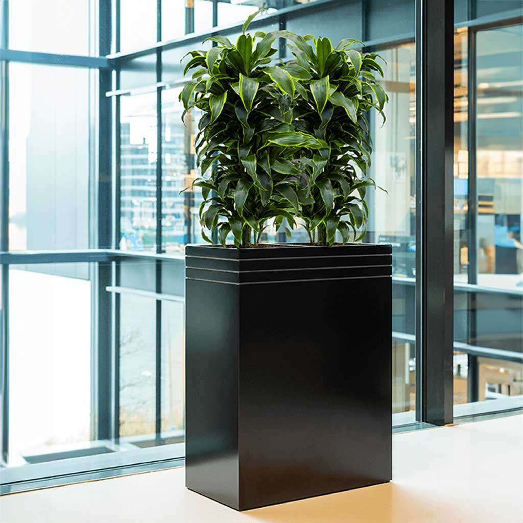 Line-Up Rectangle Planter - Matt Black - Office Planter