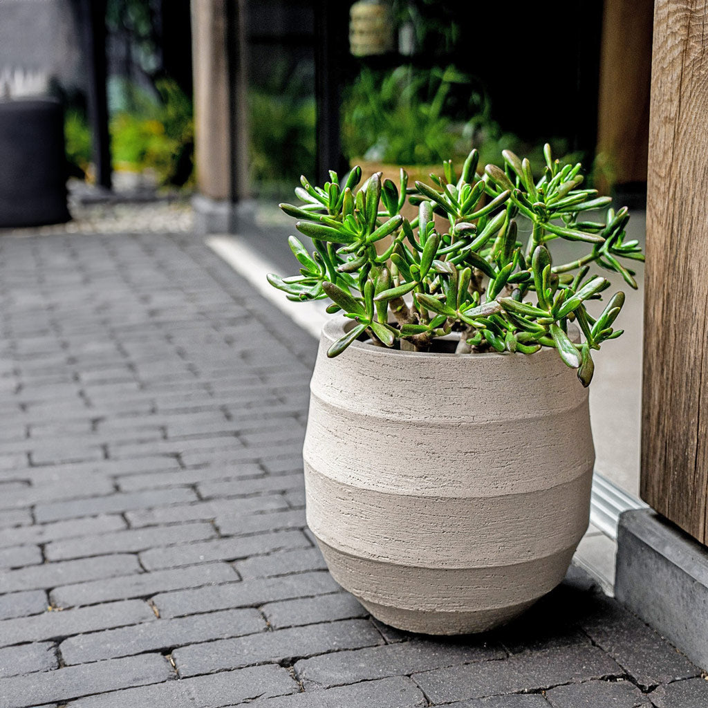 Bordo Balloon Planter - Sand & Jade Plant