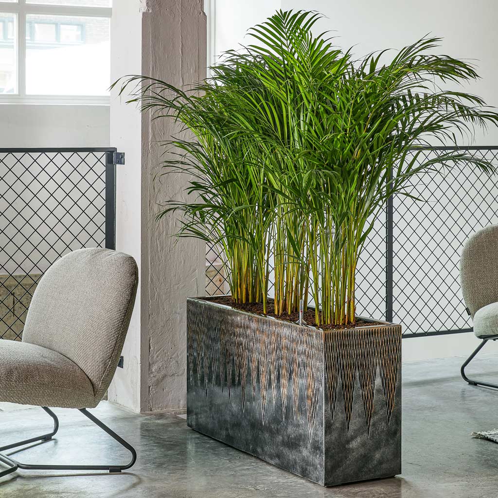 Luxe Lite Comet Trough Planter - Bronze