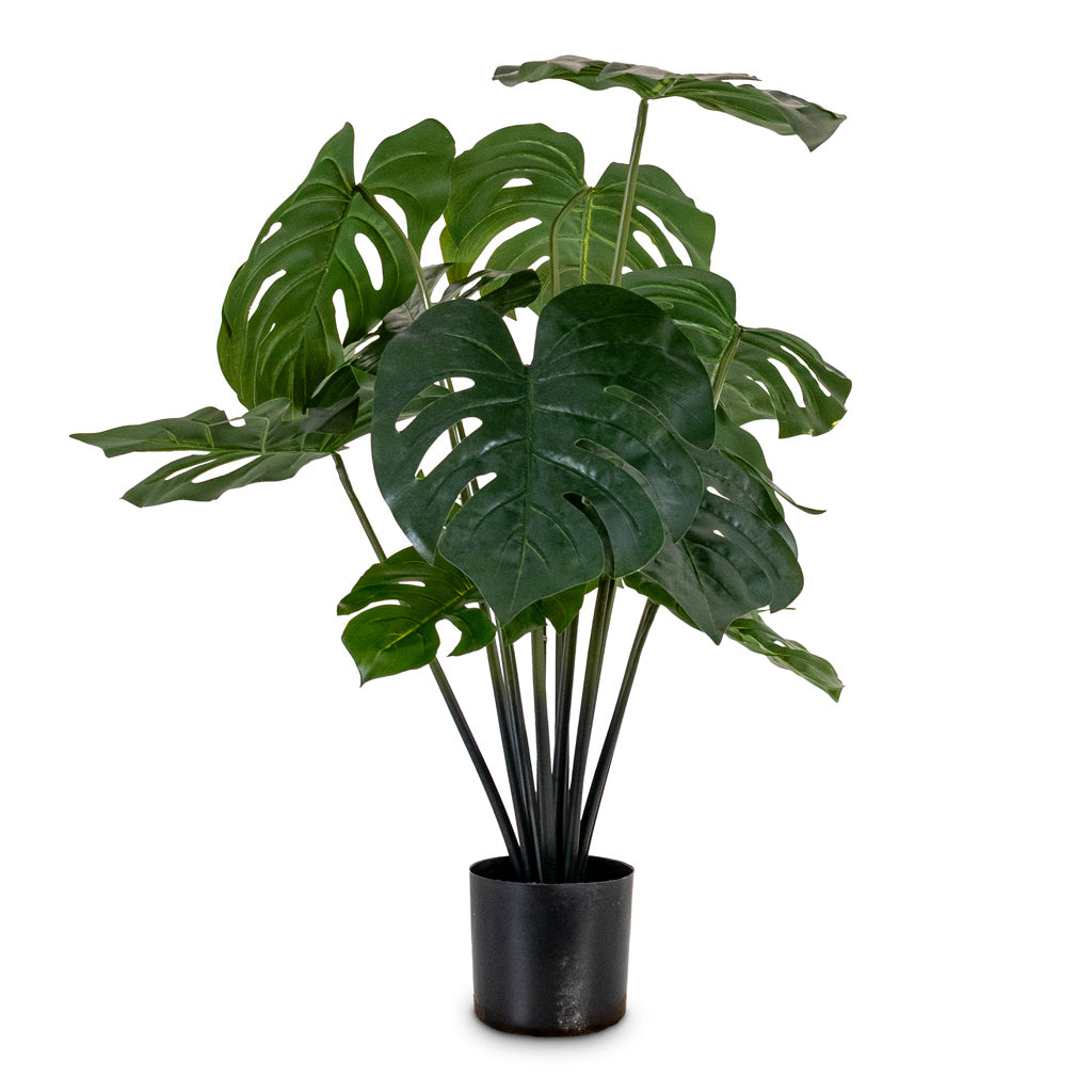 Monstera Swiss Cheese Plant Potted Artificial 80cm