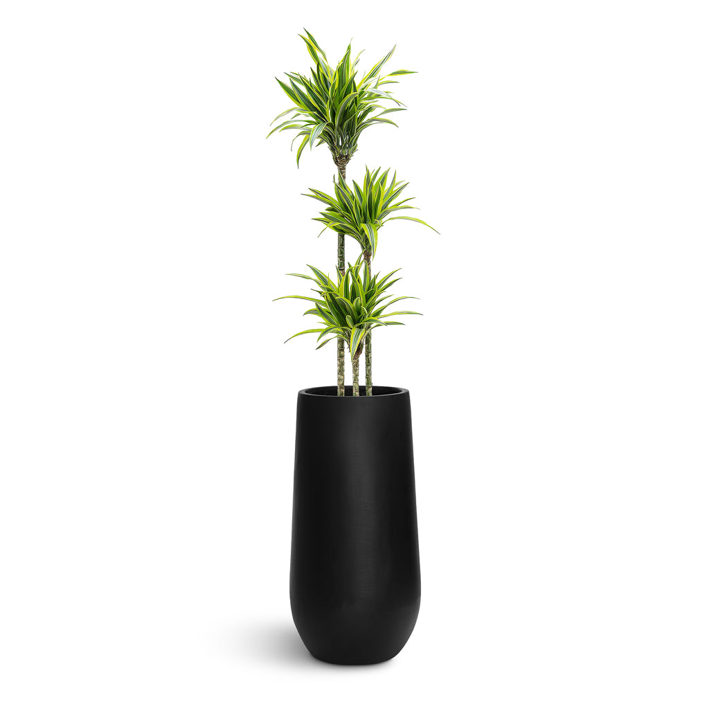 Nax Natural Tall Planter - Large Plant Display