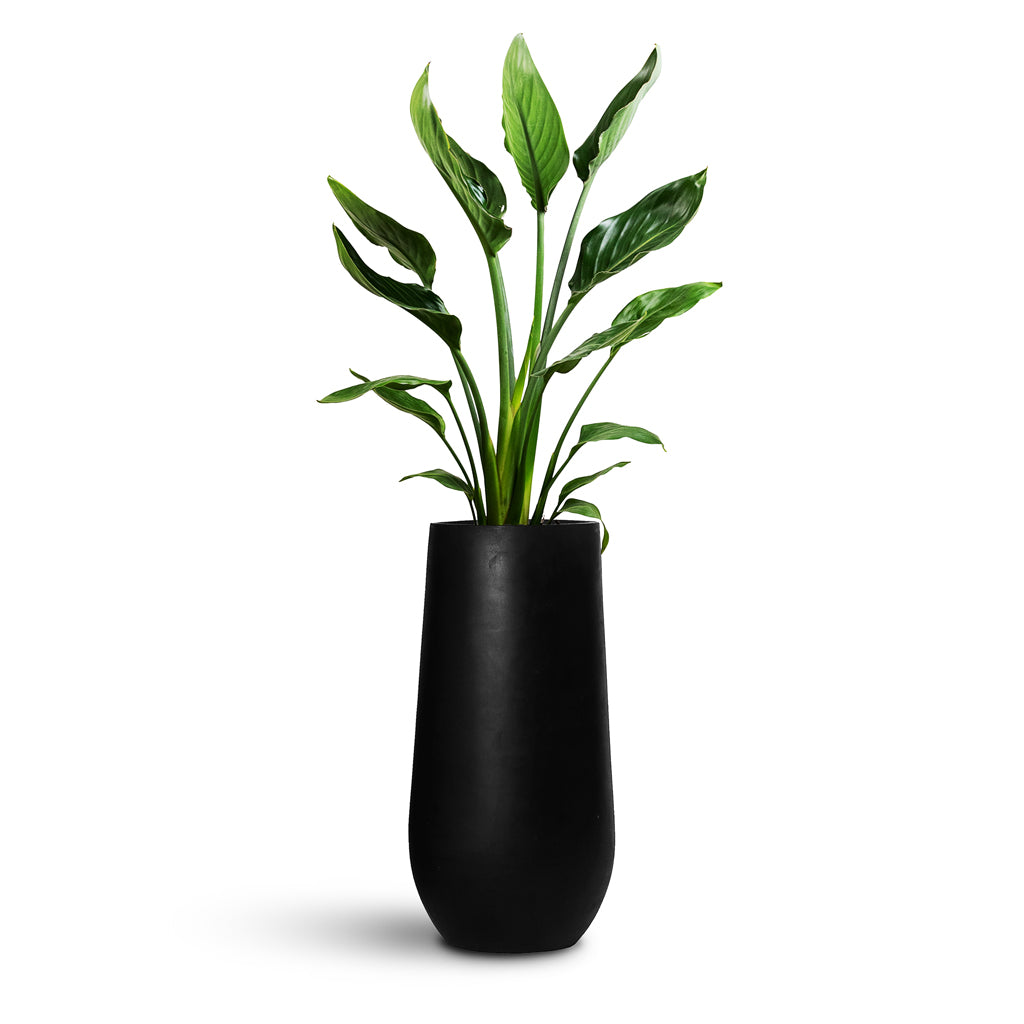 Nax Natural Tall Planter - Large Plant Display