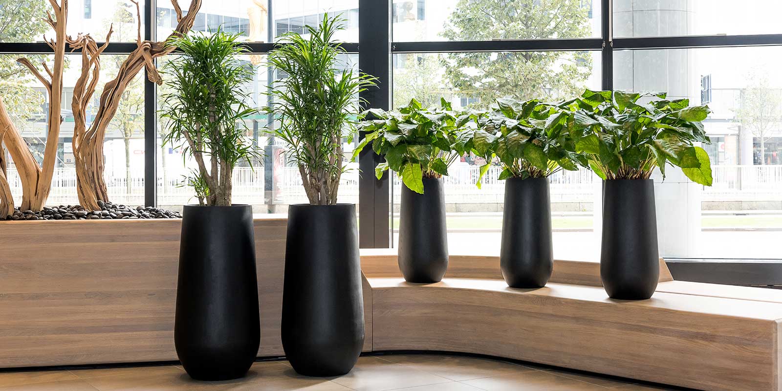 Nax Natural Tall Planter - Large Plant Display