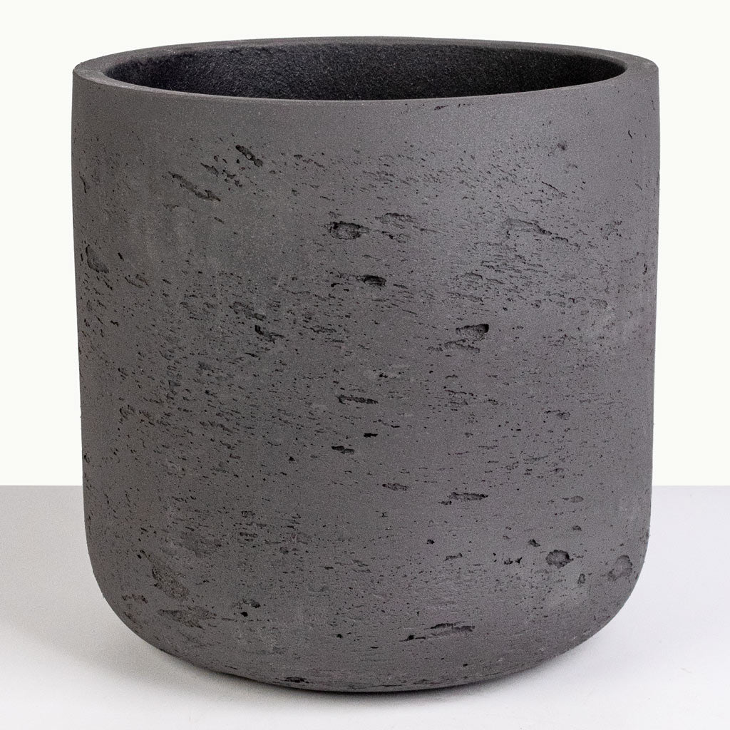 Charlie Black Washed