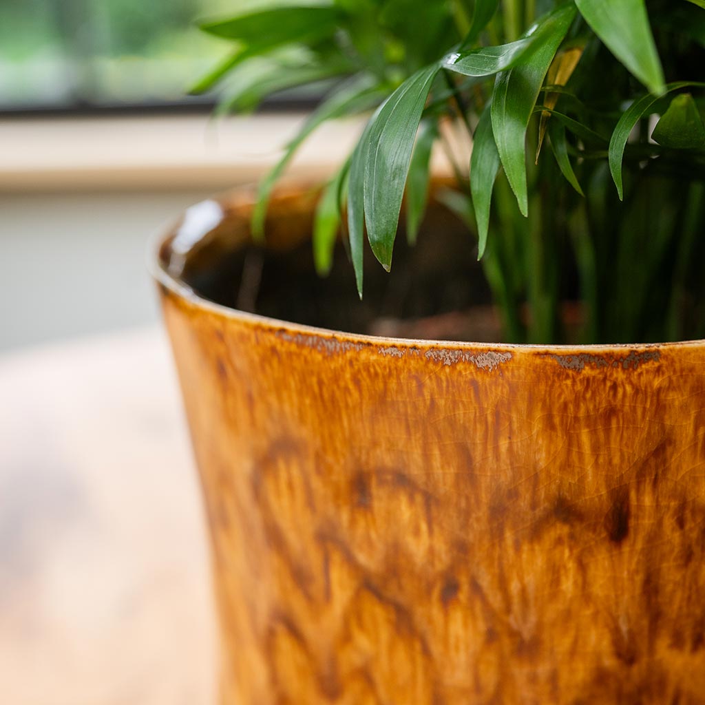 Nolan Plant Pot - Caramel - Rim