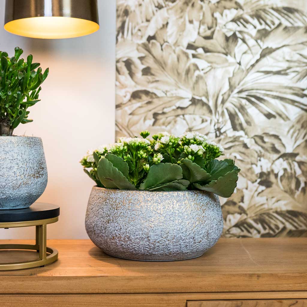 Noor Plant Bowl - Metallic Grey