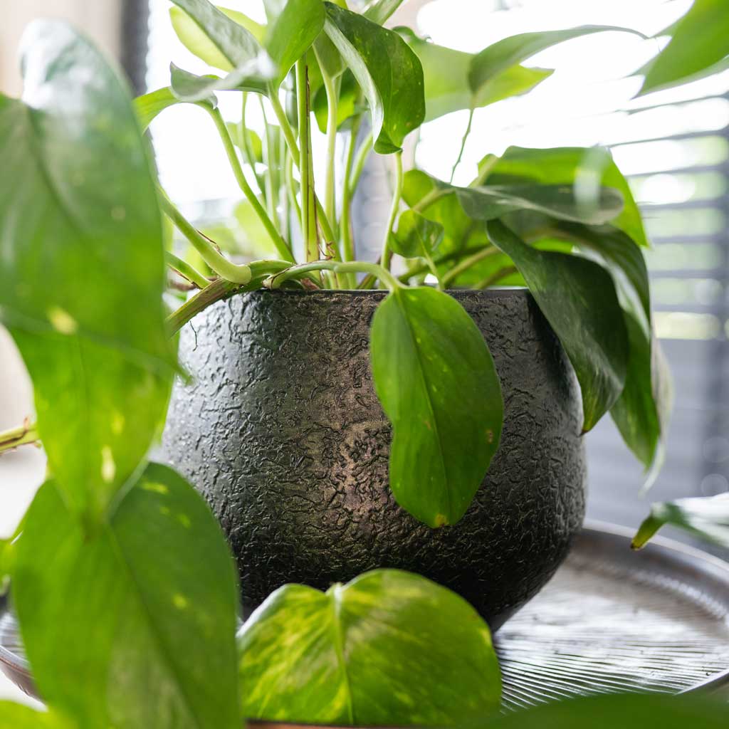 Noor Plant Pot - Velvet Green