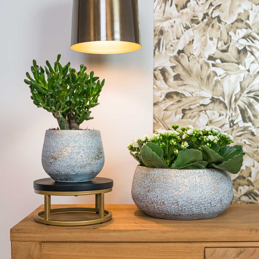 Noor Plant Bowl - Metallic Grey