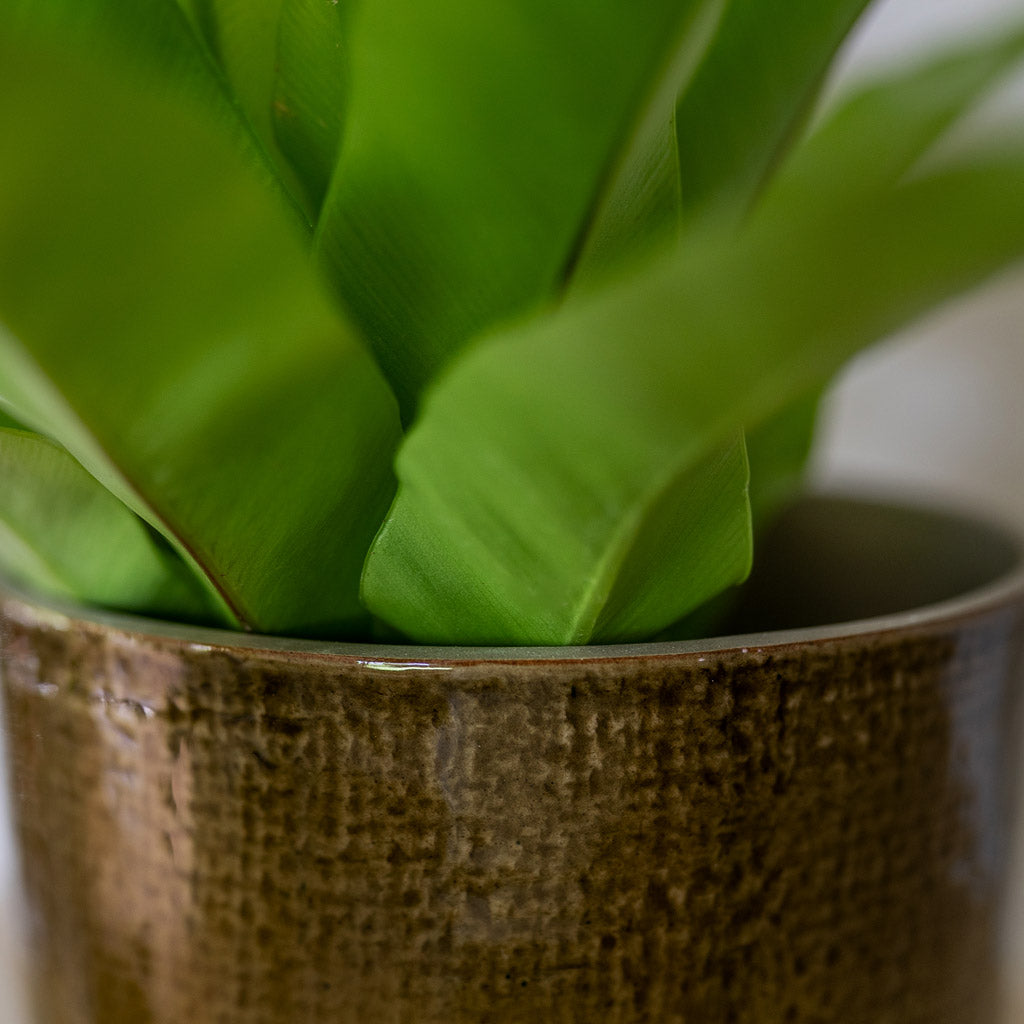 Nouri Pot Savannah Close Up