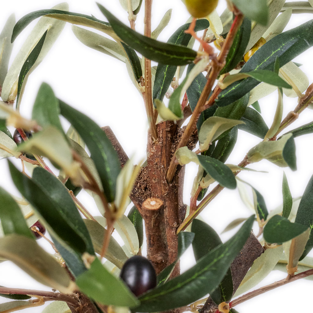 Olive Mini Tree Artificial Close Up Of Trunk And Olives