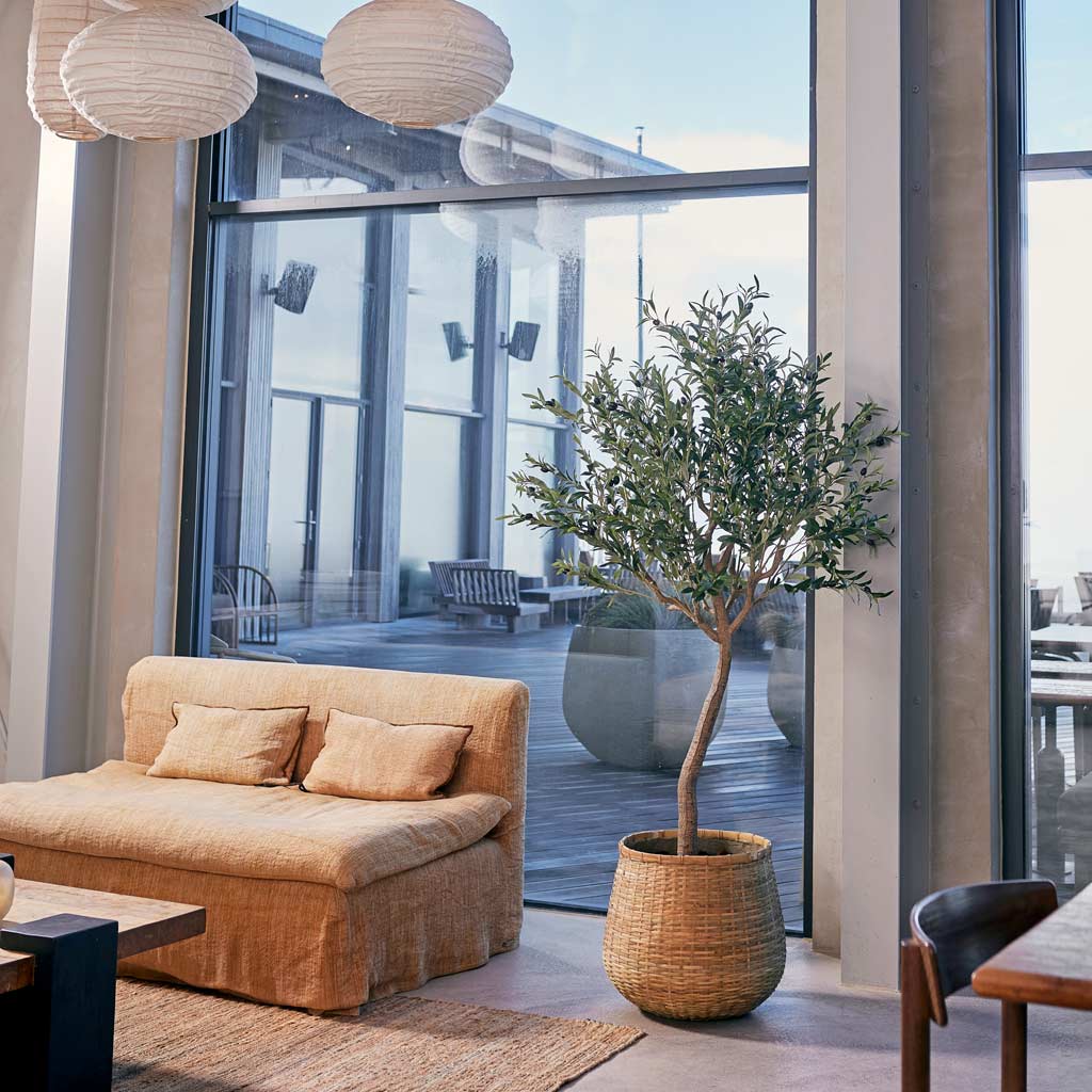 Olive-Tree-Artificial-In Basket