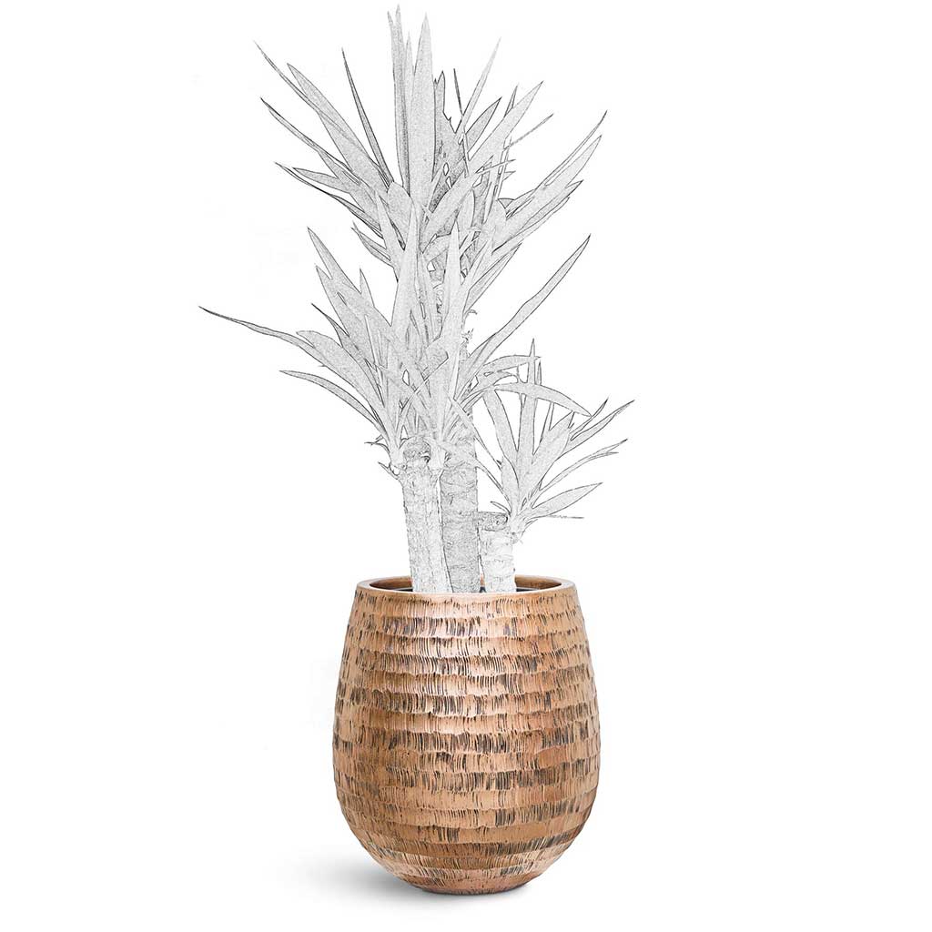 Opus Hammered Darcy Planter - XL Plant Display