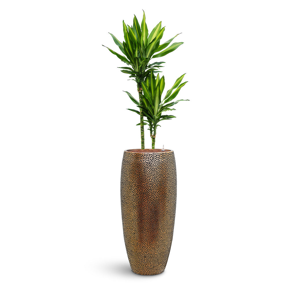 Opus Hit Partner Planter - Plant Display