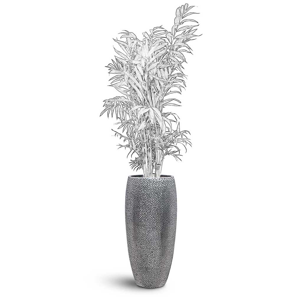 Opus Hit Partner Planter XL Plant Display