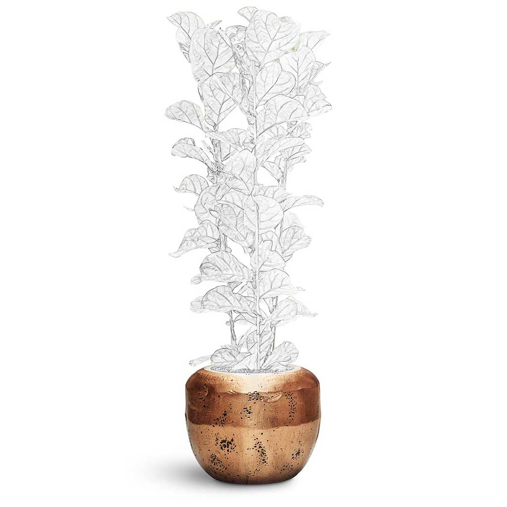 Opus Raw Couple Planter - XL Plant Display