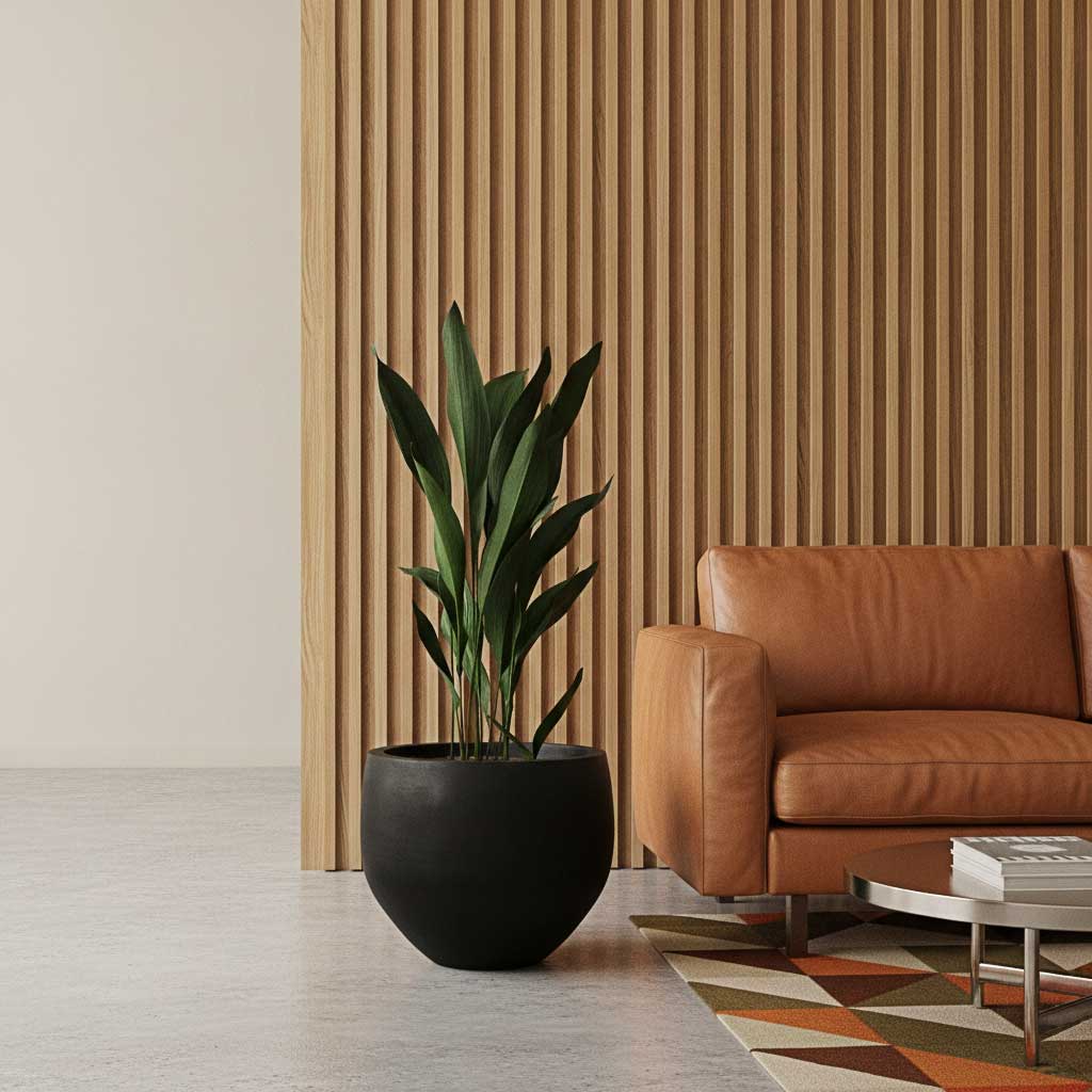 Aspidistra - Cast Iron Plant - HydroCare in Orb Natural Planter - Black