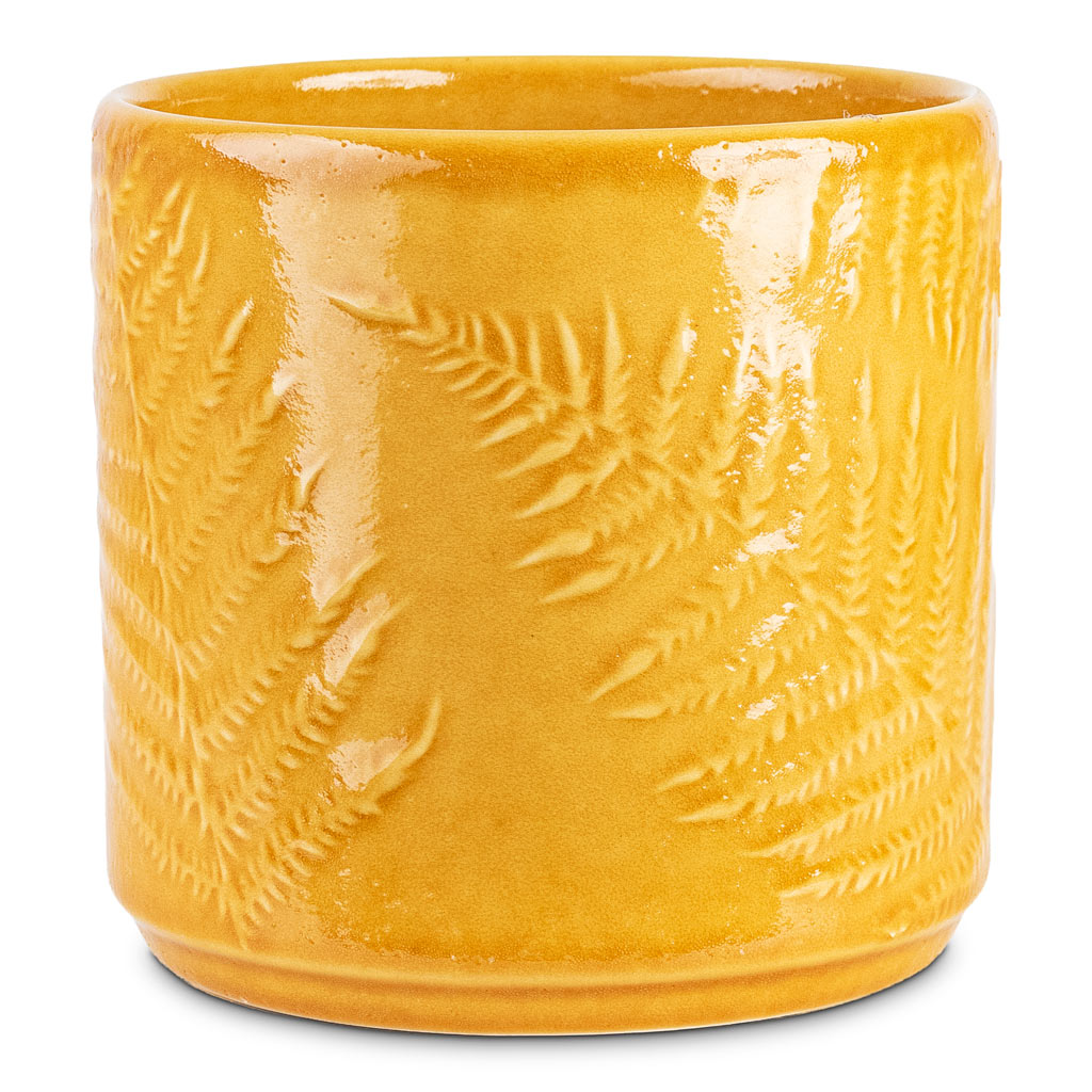 Orla Fern Pot Mustard 17.5x16.5cm pot