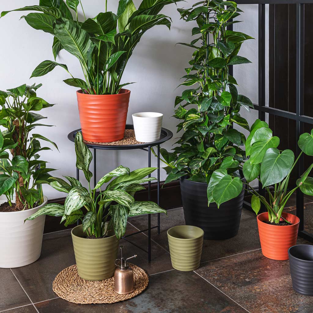 Oslo Group - Lifestyle