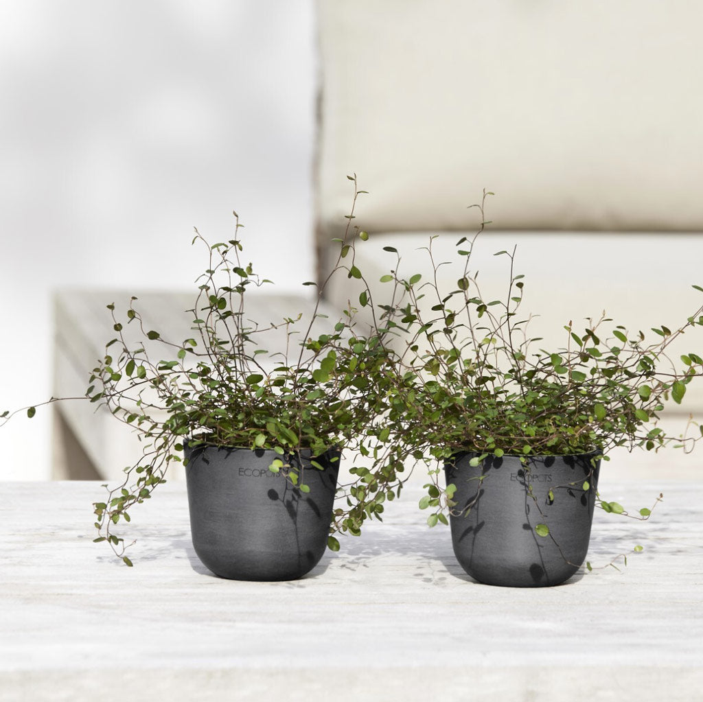 EcoPots Oslo - Slate - Plastic Plant Pots XXL