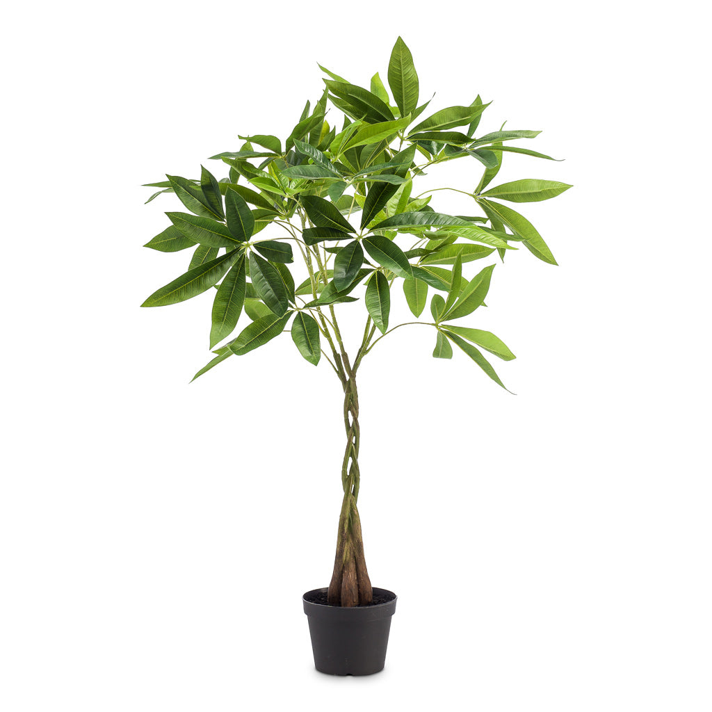 Pachira Tree Artificial - 90cm