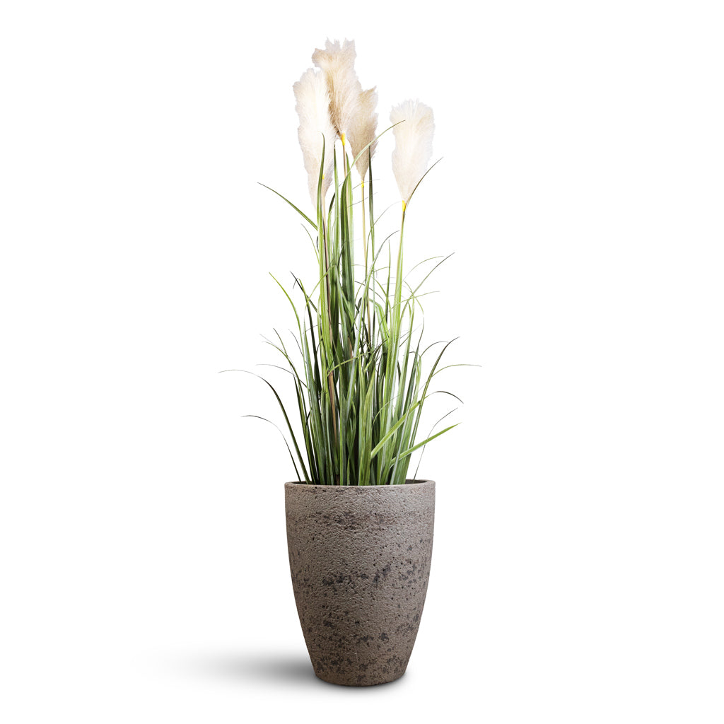 Pampas Grass Artificial (5 stems) In Ben Cement Stone Planter Granite Grey