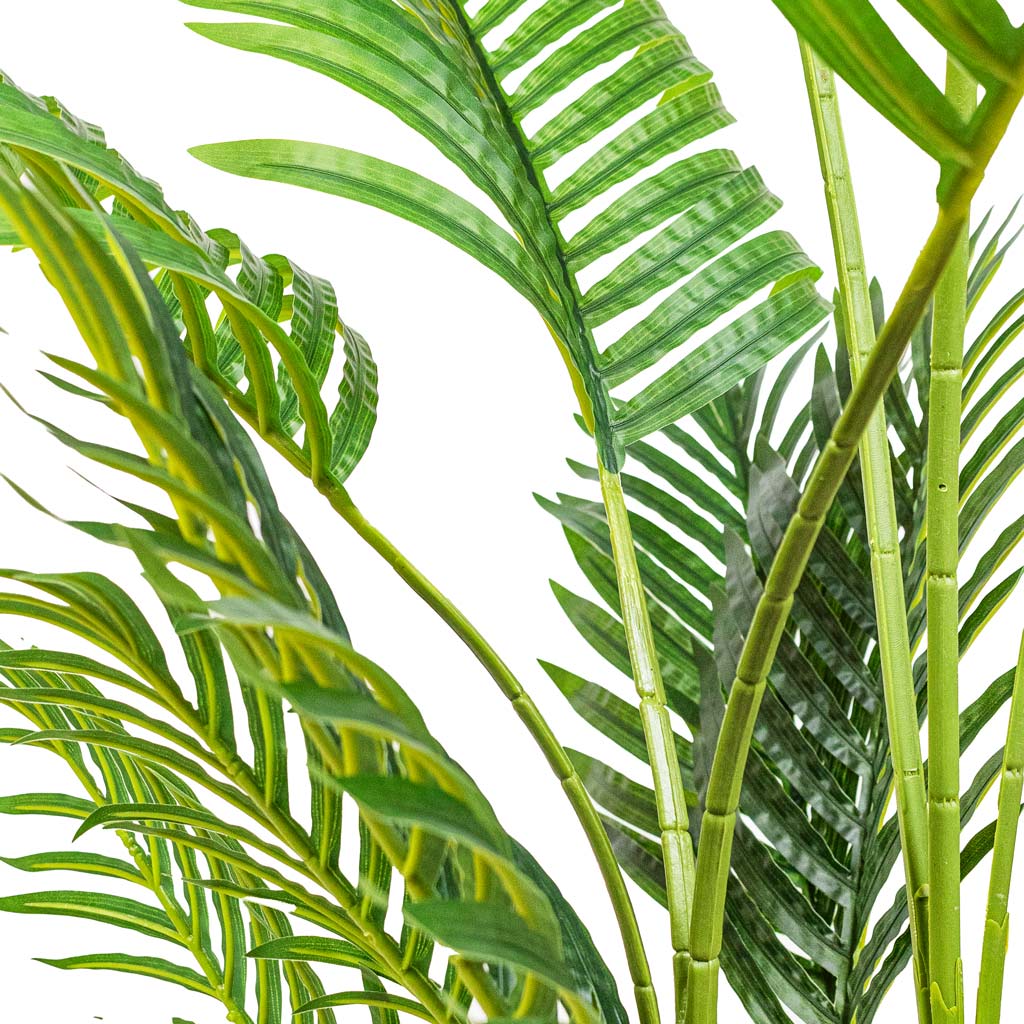 Paradise Palm Artificial Close Up Of Leaves And Stems