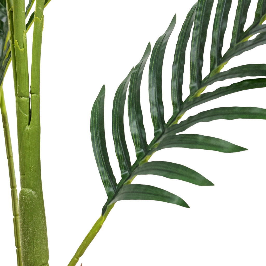 Paradise Palm Artificial Close Up Of Leaf And Stem
