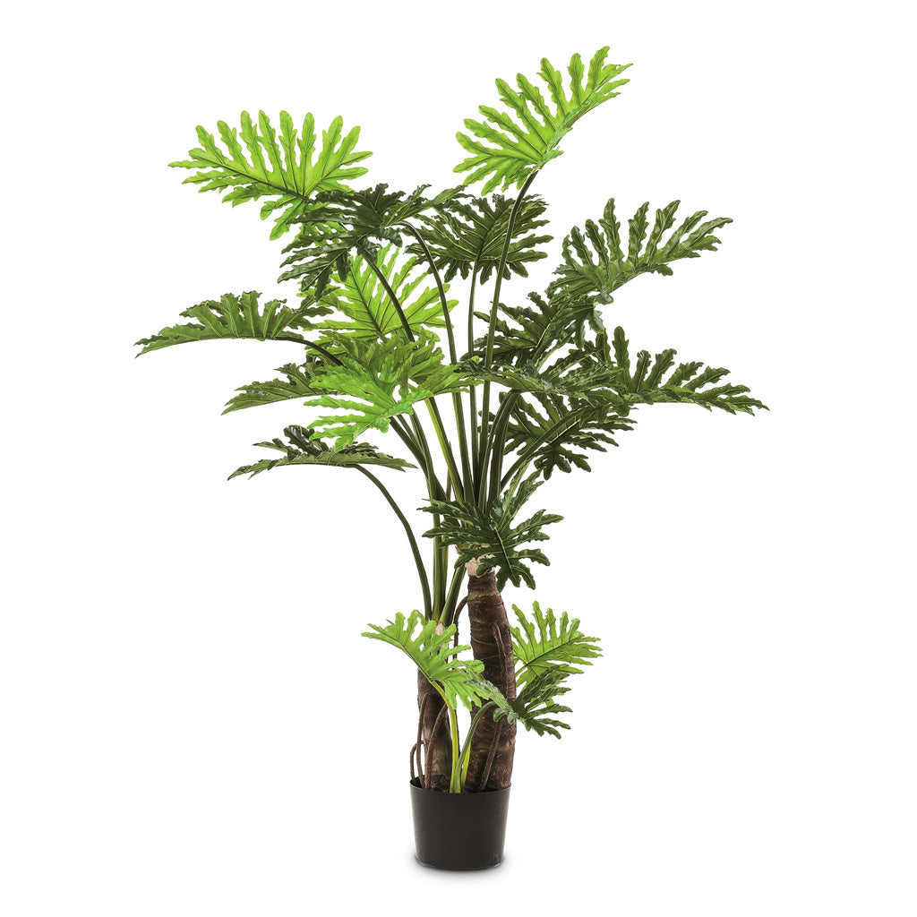 Philodendron selloum Potted Artificial 180cm