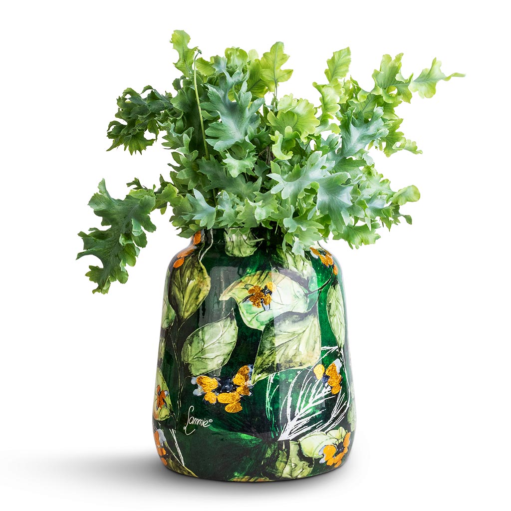 Phlebodium davana - Blue Star Fern & Lammie Planter - Bee Green