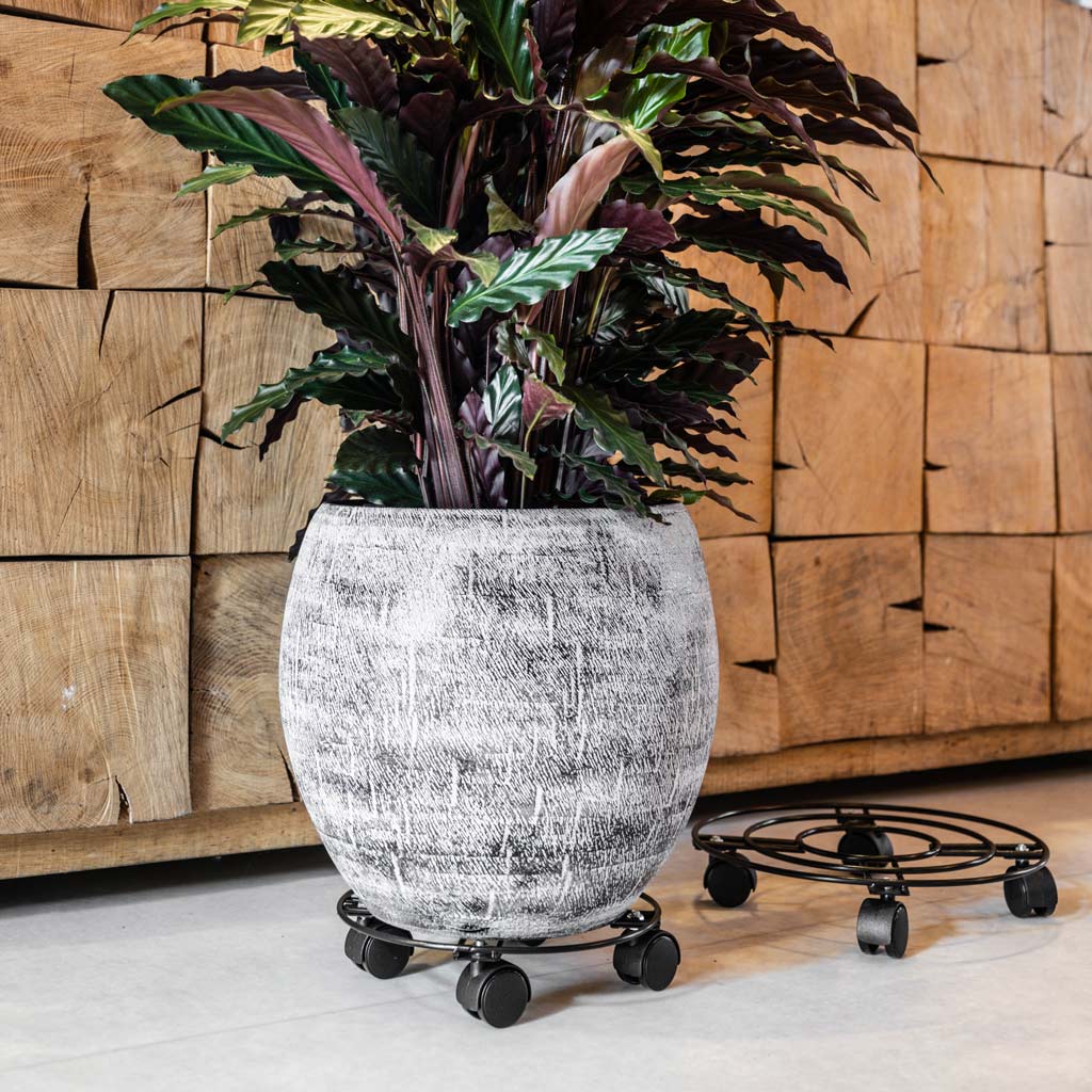 Plant Pot Trolley Black With Plant pot