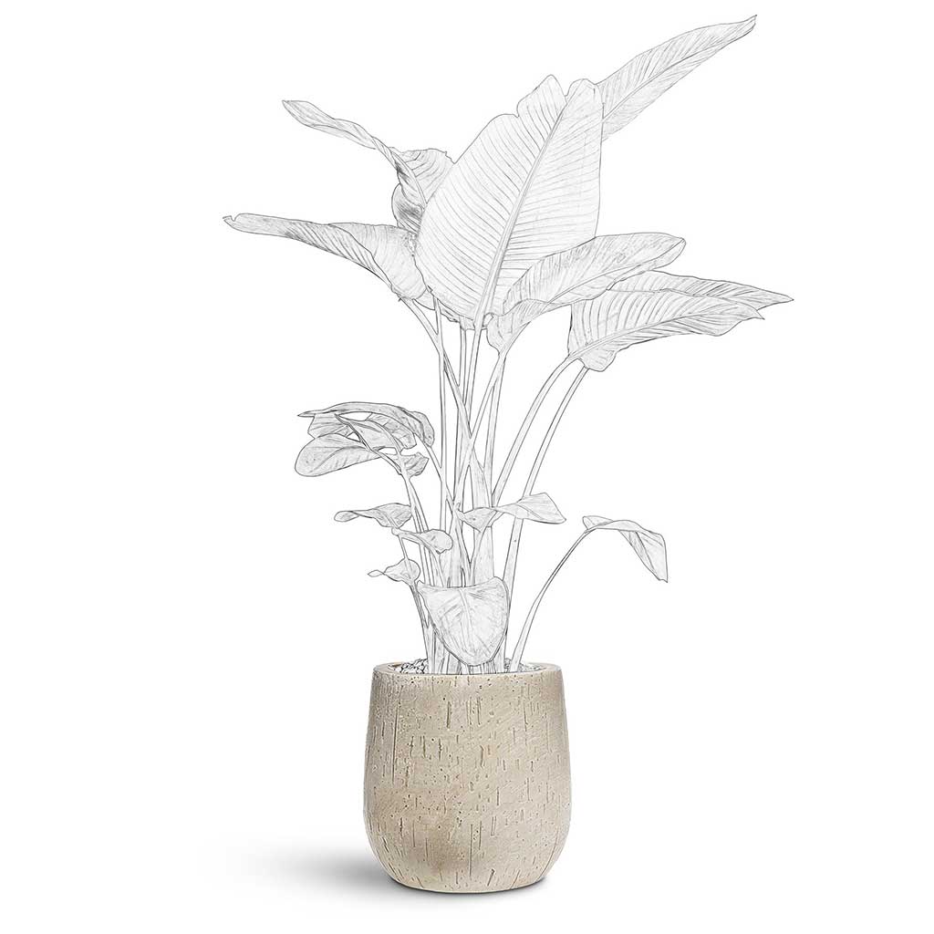 Raindrop Couple Balloon Planter - Large Plant Display