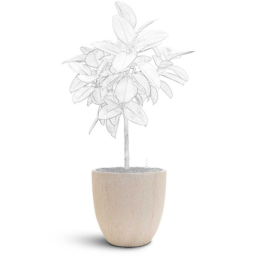 Raindrop Egg Planter - Large Plant Display