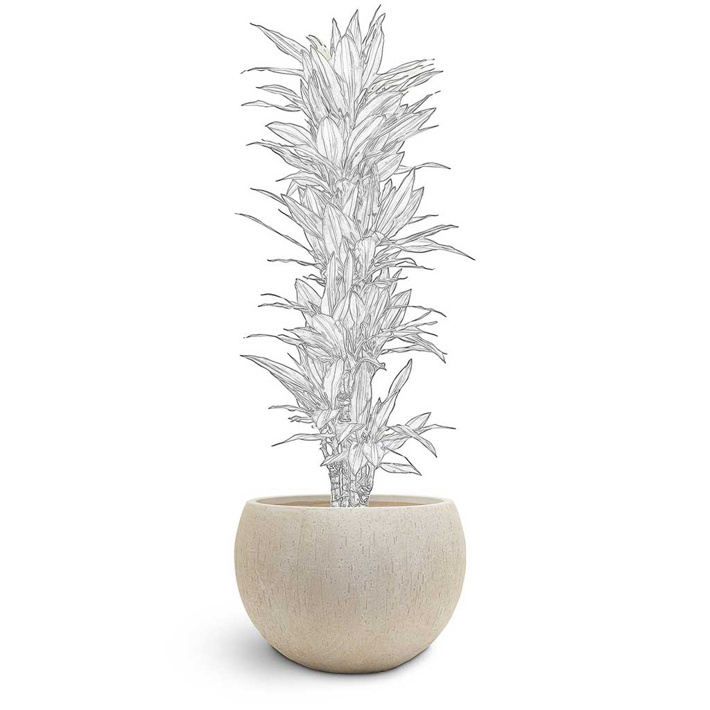 Raindrop Globe Planter - Large Plant Display
