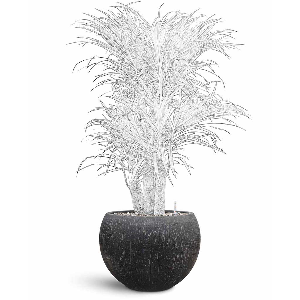 Raindrop Globe Planter - XL Plant Display