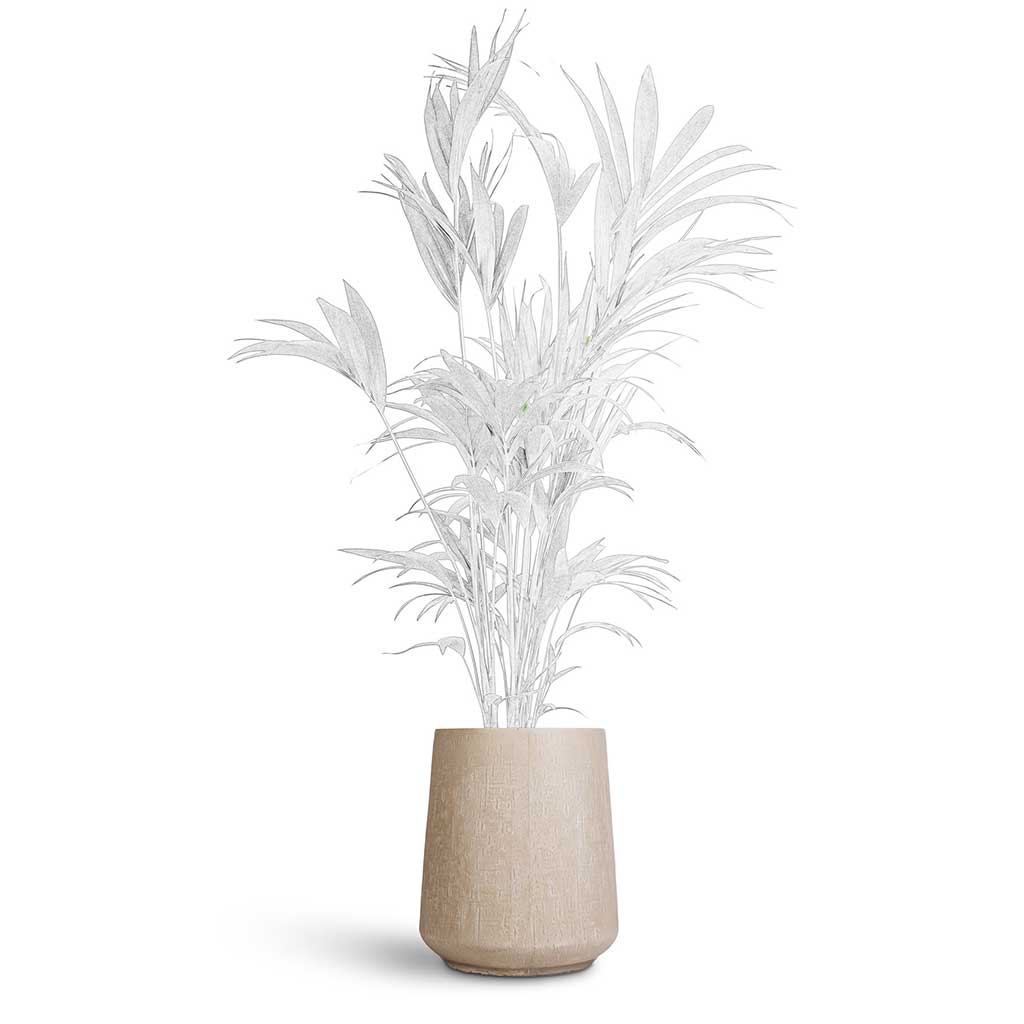 Raindrop Tube High Round Planter - XL Plant Display