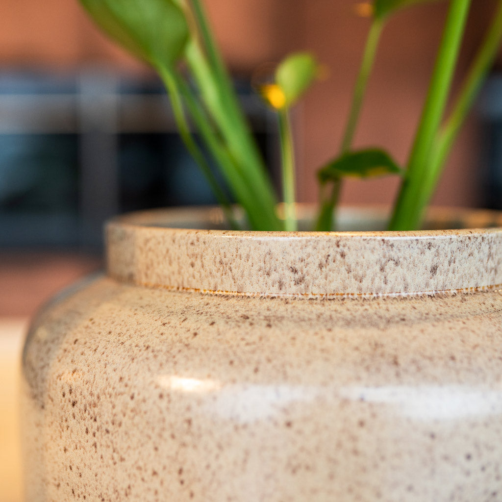 Rocky Latte Close Up