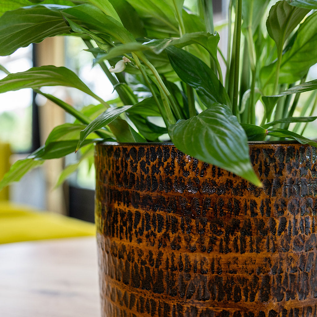 Sanna Plant Pot - Savanna Close Up